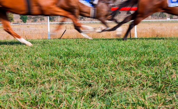 Comar apuestas deportivas, Carreras de caballos, Turf